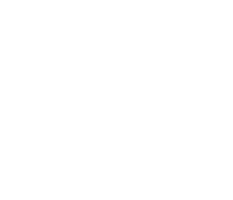 Business Scope